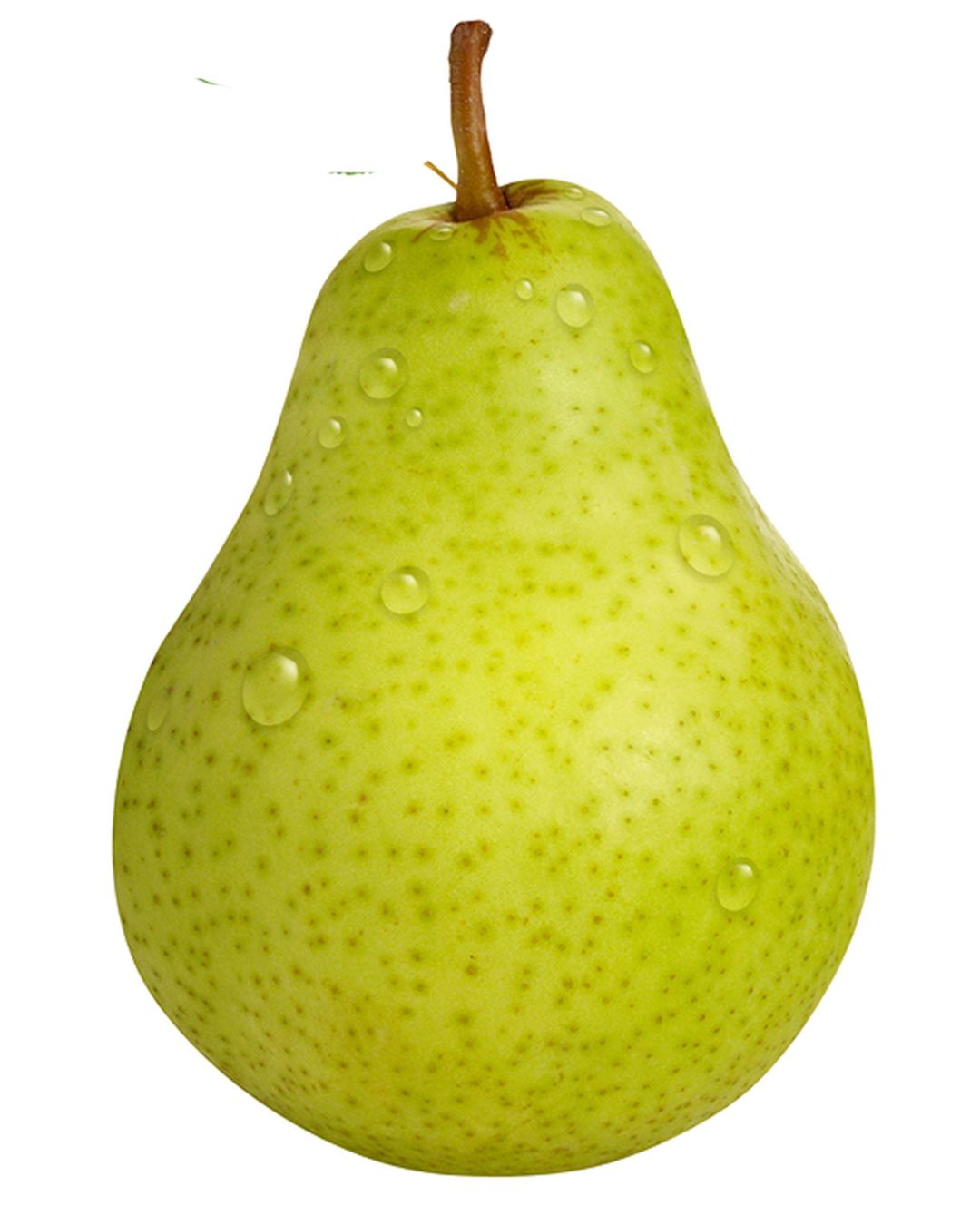 English Pear - Fresh