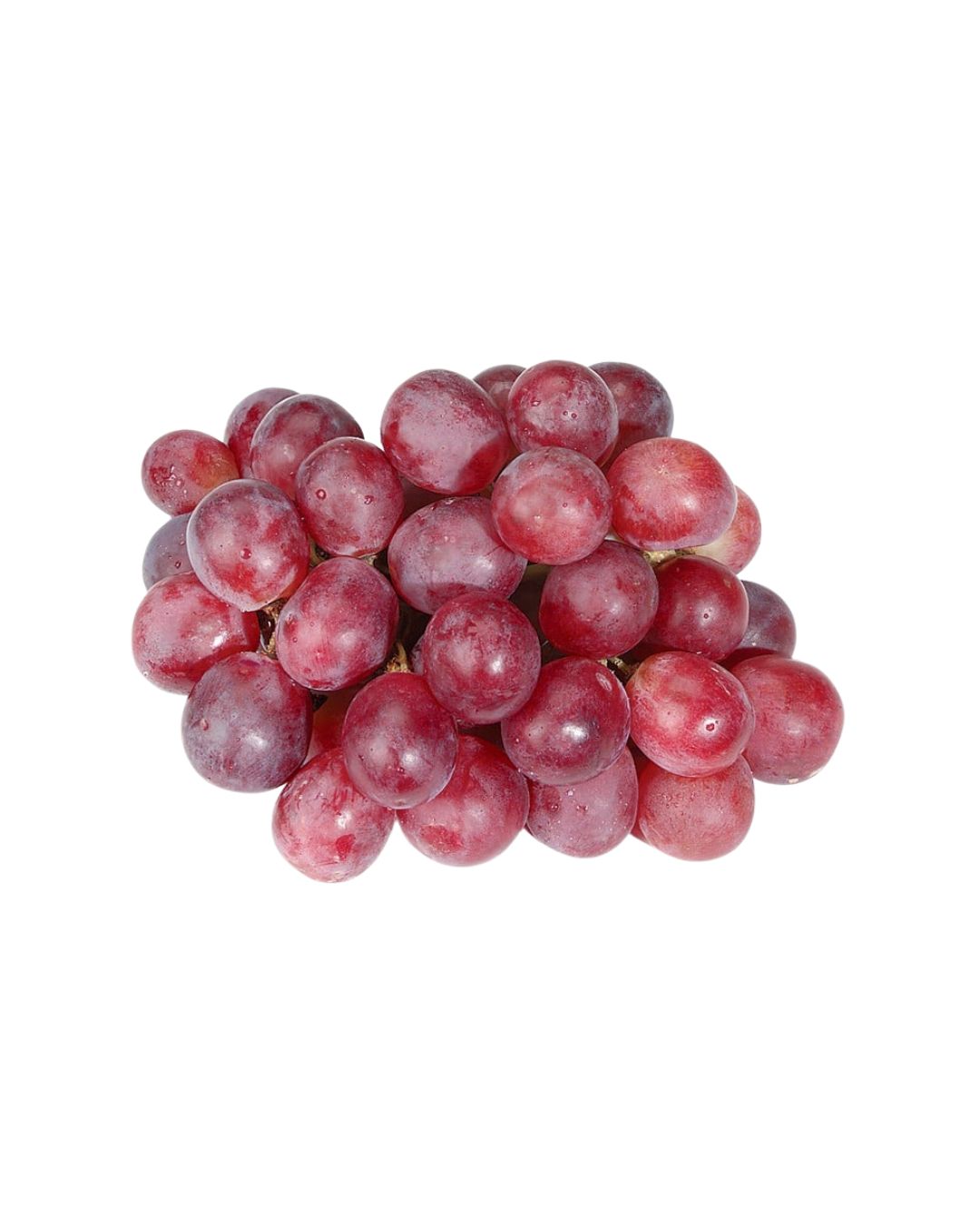 Red Grapes 1 Pack
