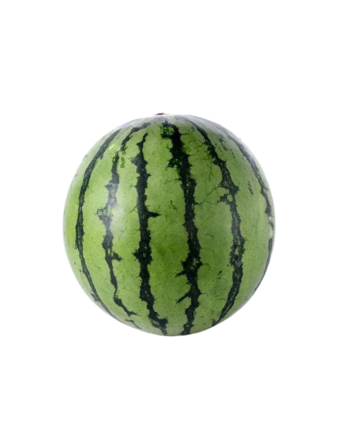 Watermelon - Fresh