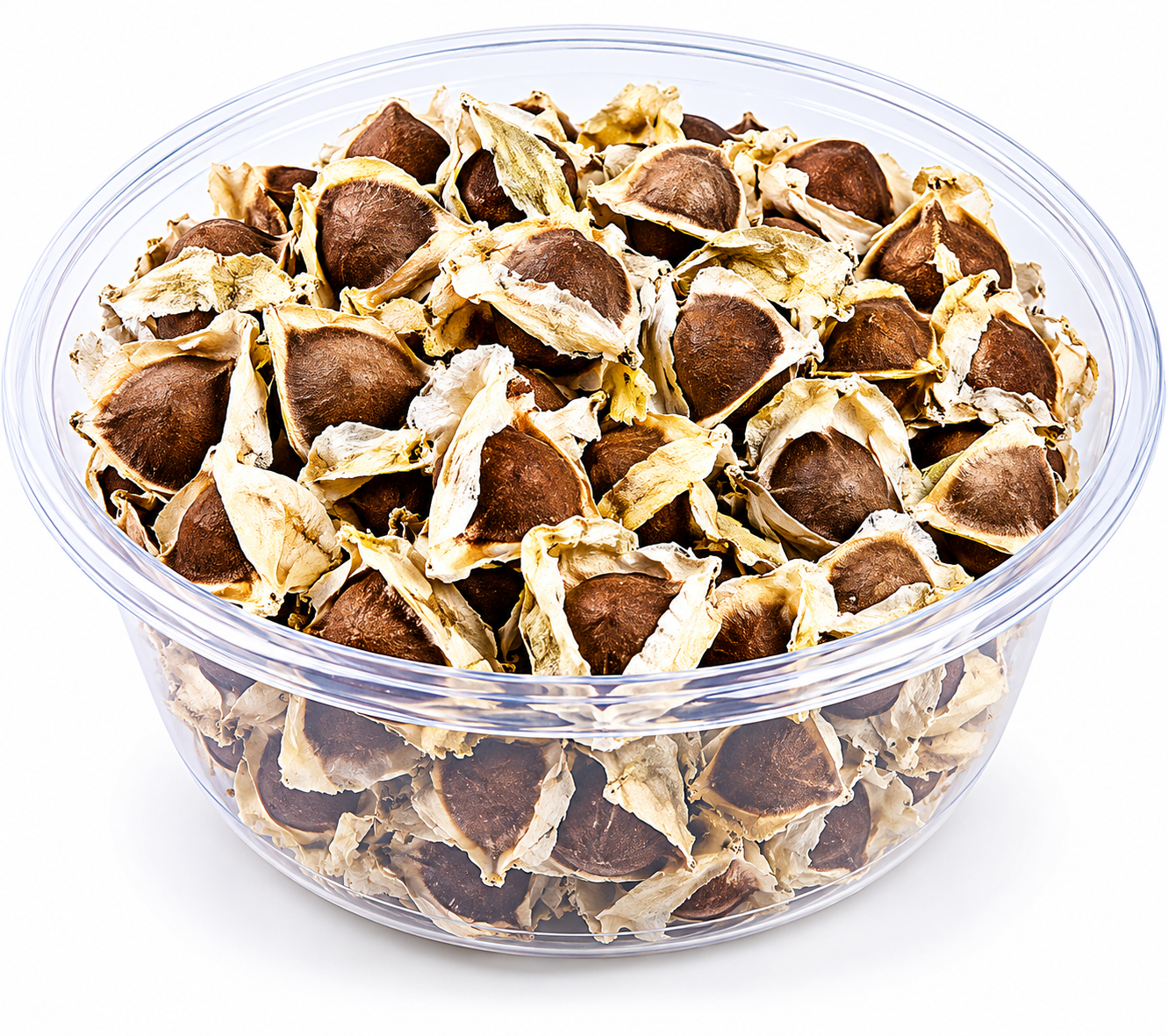 Moringa Seeds 20g