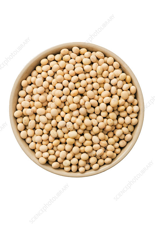 Soya Beans 1kg (Mudu)