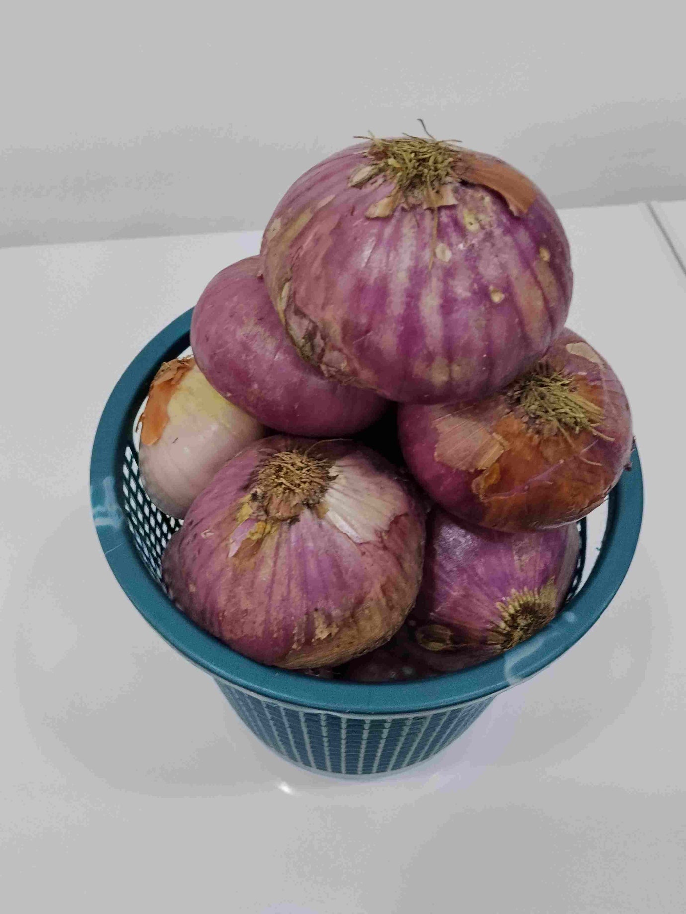 Onions - Fresh