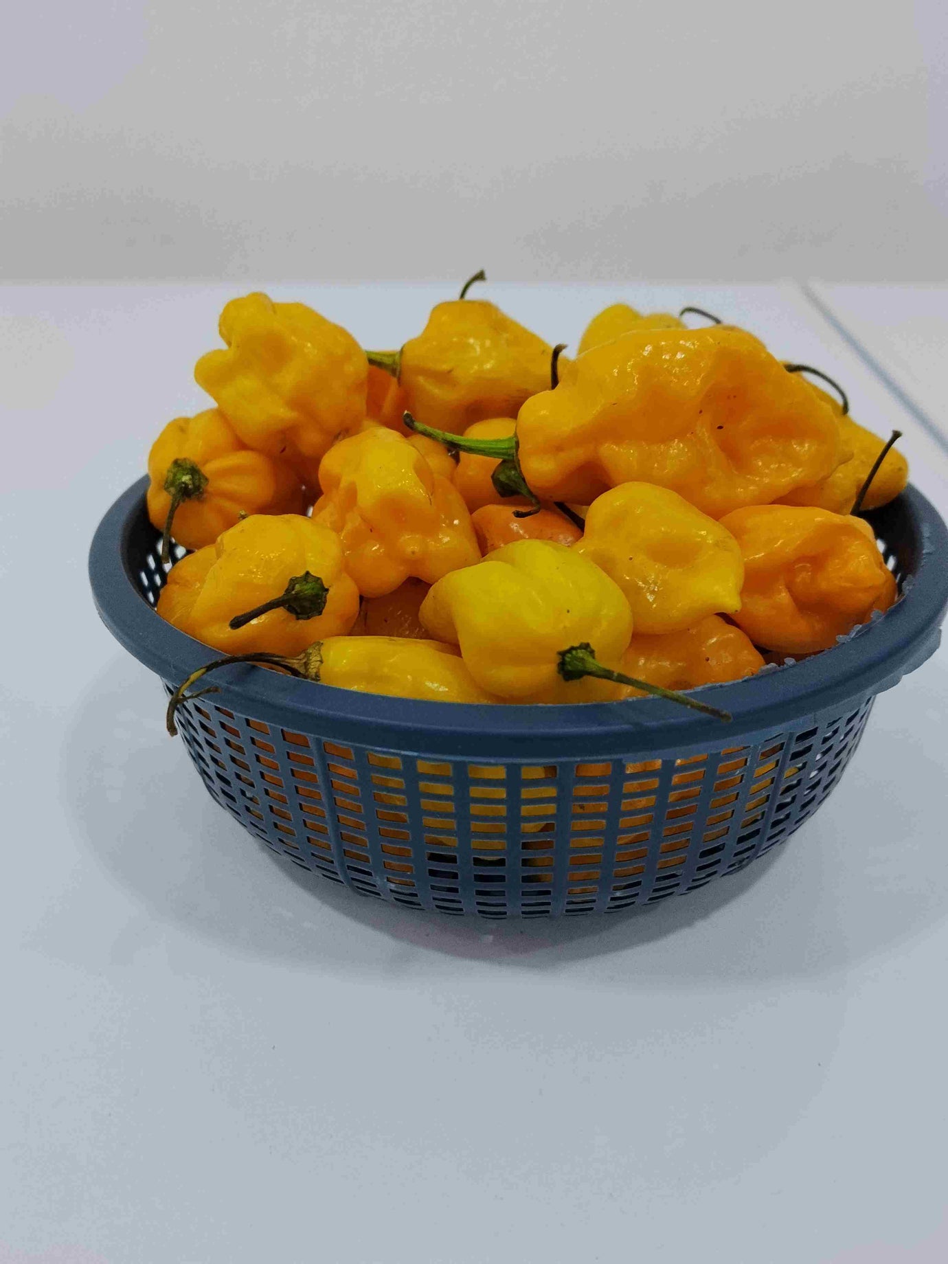 Yellow Pepper – Fresh