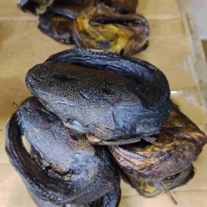 Dried Catfish