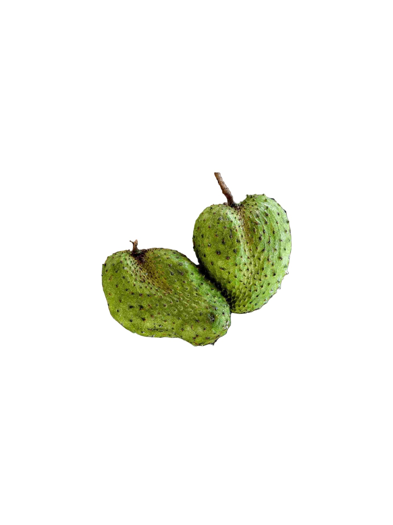 Soursop