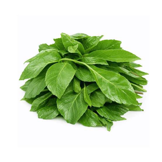 Scent Leaf – Fresh (Bunch)