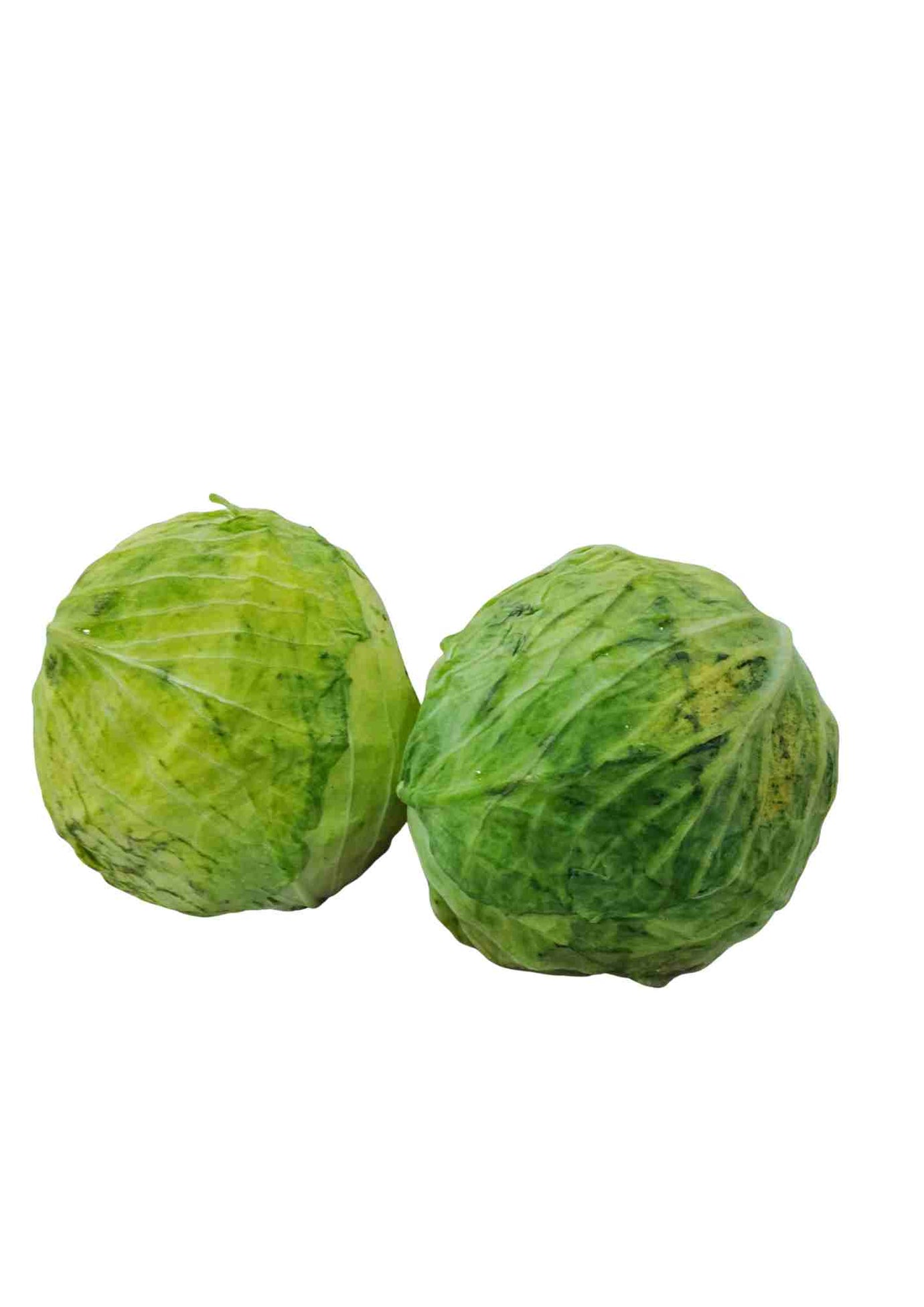 Cabbage (big)