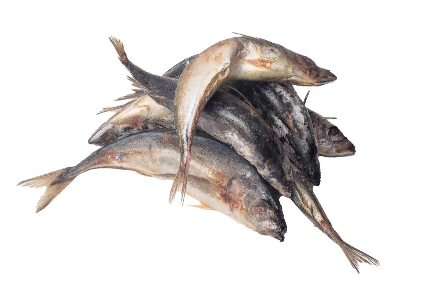 Kote Fish 1kg