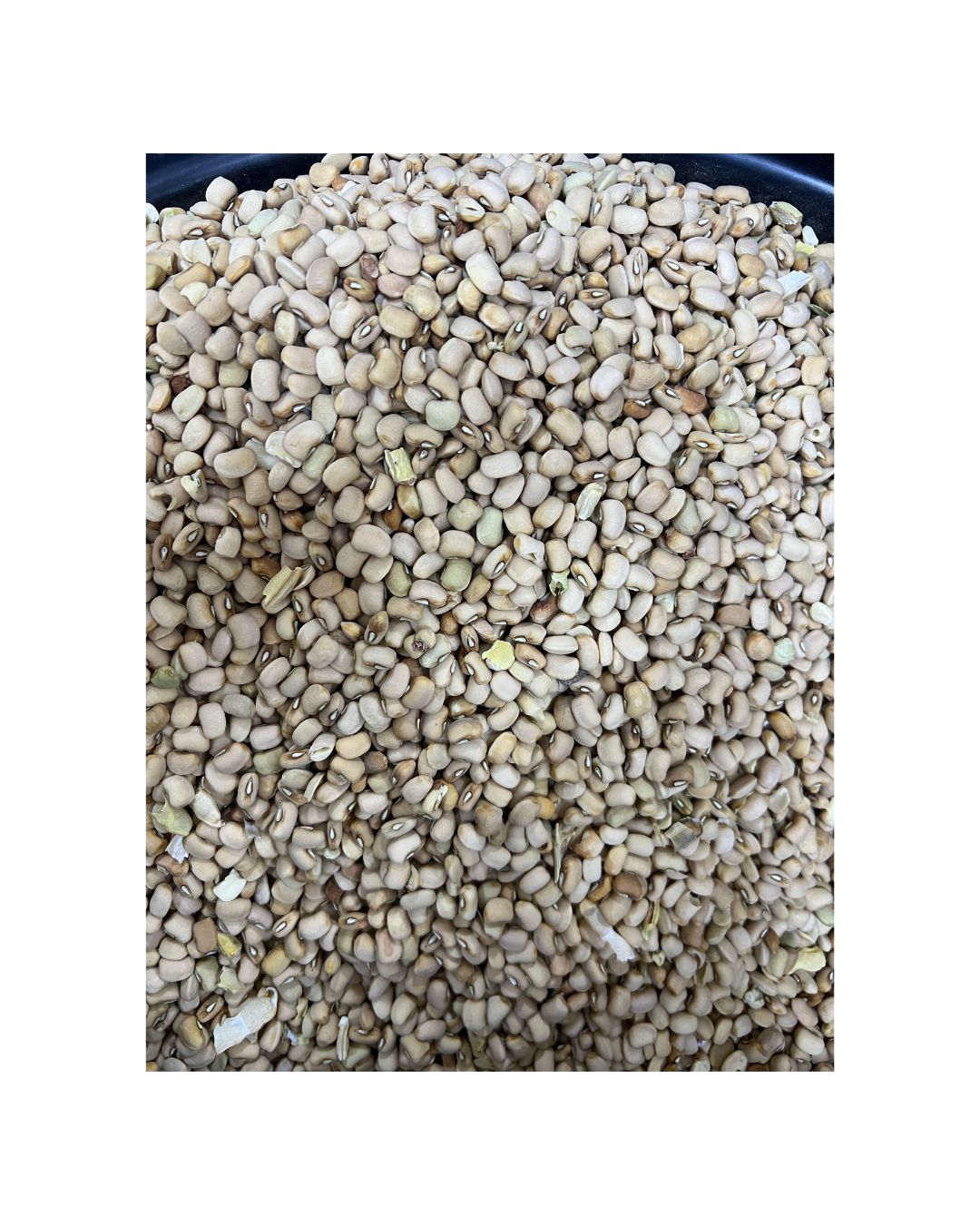 Small White Beans (Mudu)