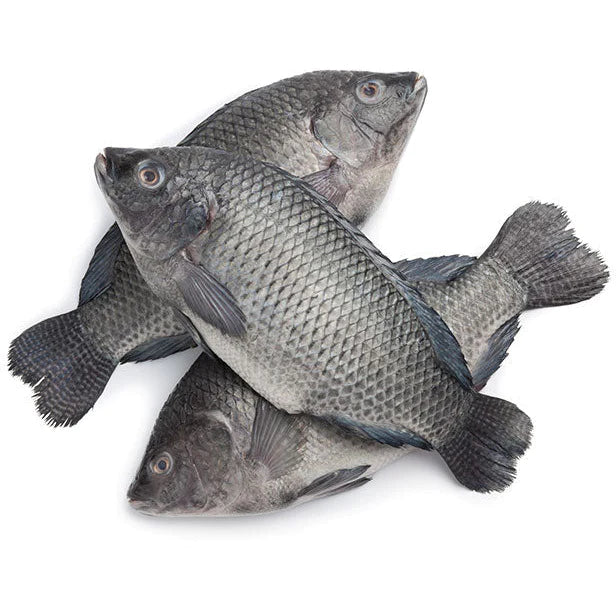 Tilapia 10kg Carton