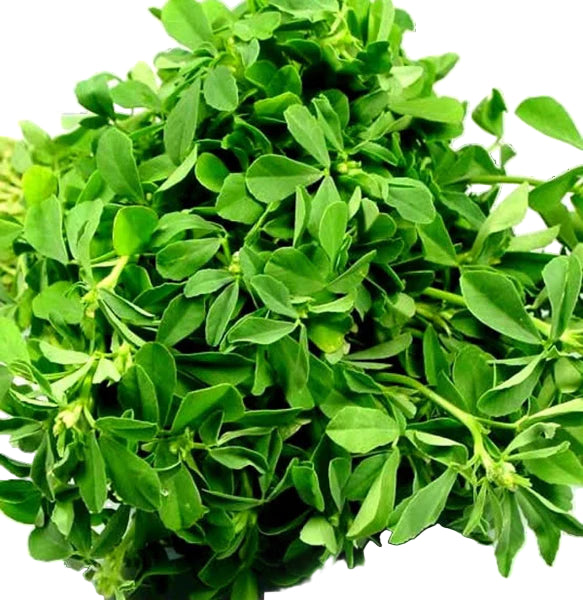 Water Leaf – Fresh